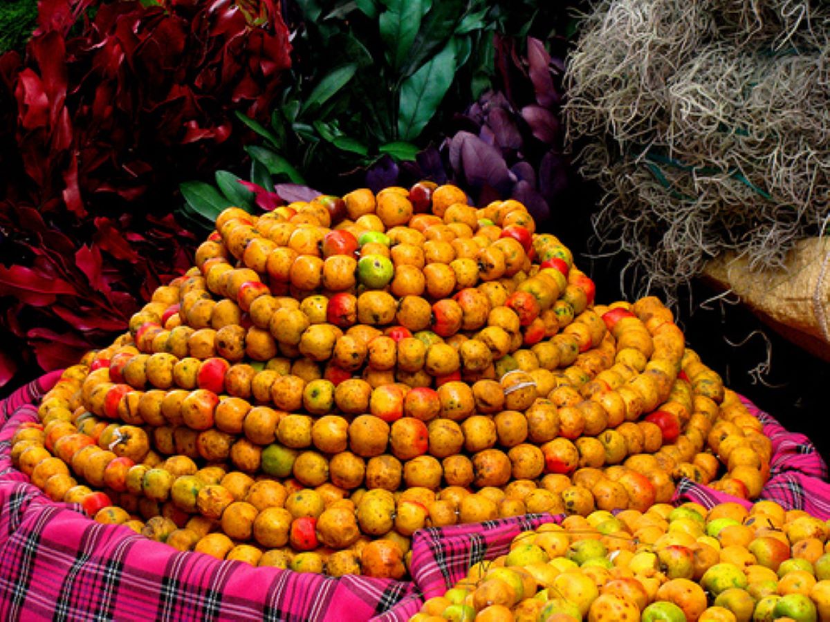Guatemala con Aroma Navideño (05/12 Dic, 2026)