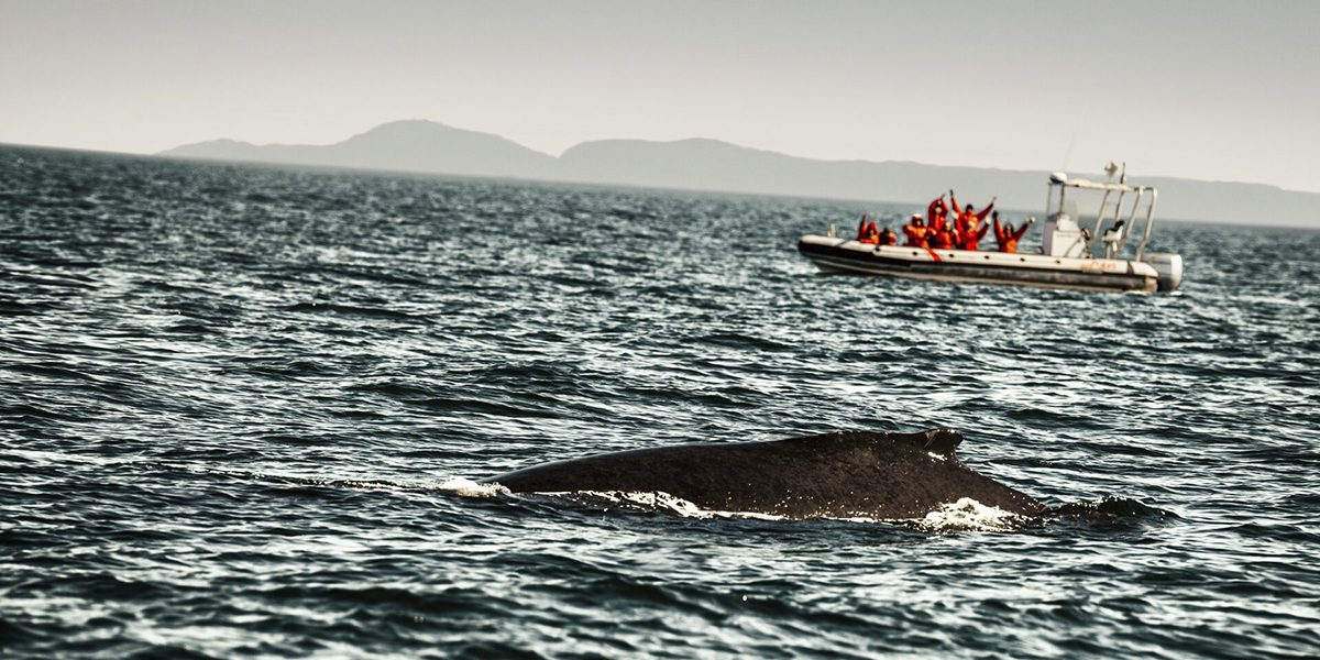 (Sa)   SAGUENAY / TADOUSSAC / QUEBEC  (350 km)