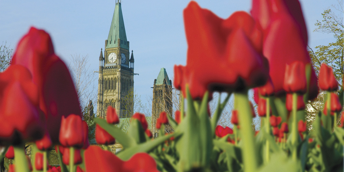 Canadá de Ensueño