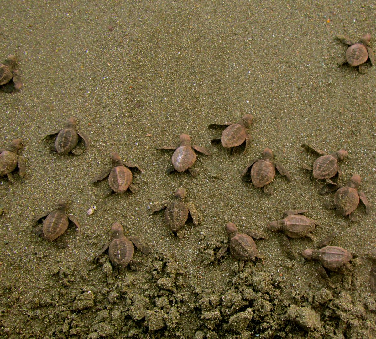 Atractivos de Costa Rica