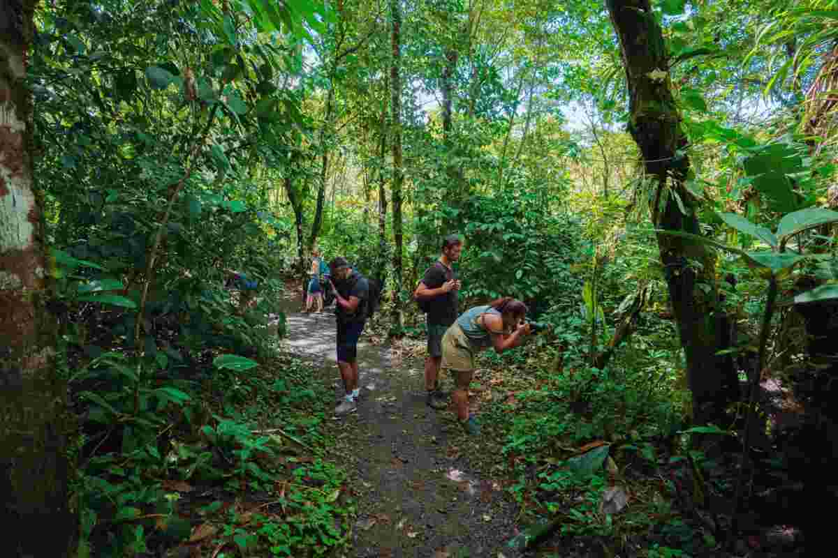 VOLCAN ARENAL (Día libre)