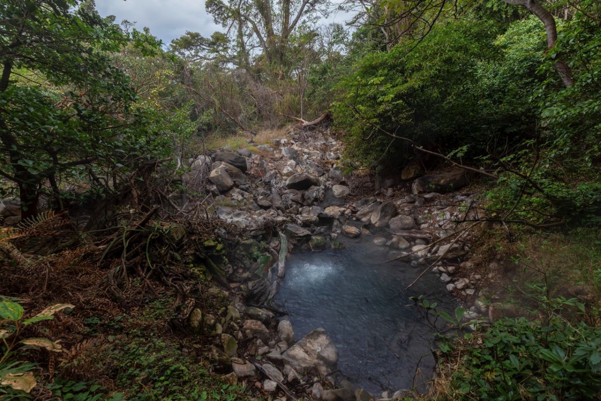 GUANACASTE (Parque Nacional Rincón de la Vieja y Termales)