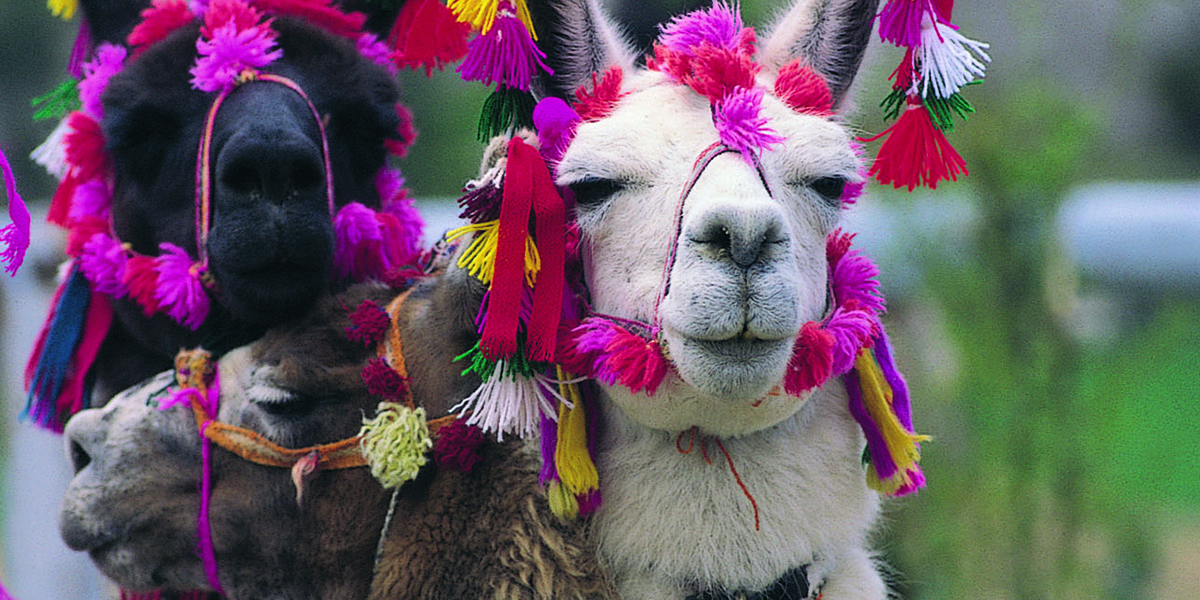 LIMA / CUZCO / VALLE SAGRADO de los INCAS (Pisac + Museo Inkariy + Museo Vivo de Yucay)