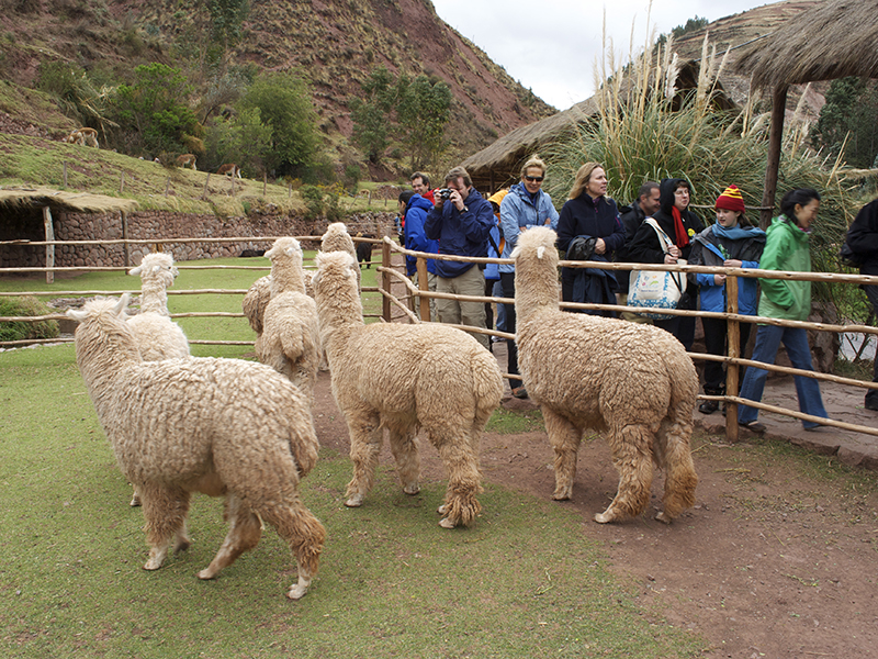 CUZCO / LIMA / MEXICO