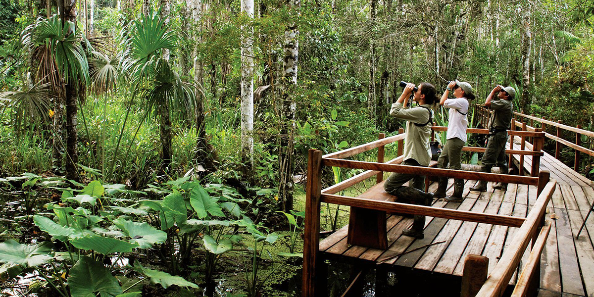 RESERVA AMAZONICA / LIMA / MEXICO