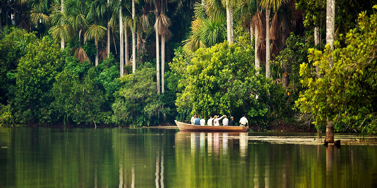 RESERVA AMAZONICA (Lago Sandoval + Canopy + caminata)
