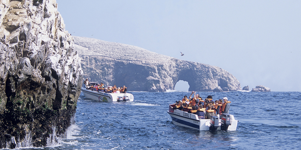 PARACAS (Islas Ballestas) / LIMA