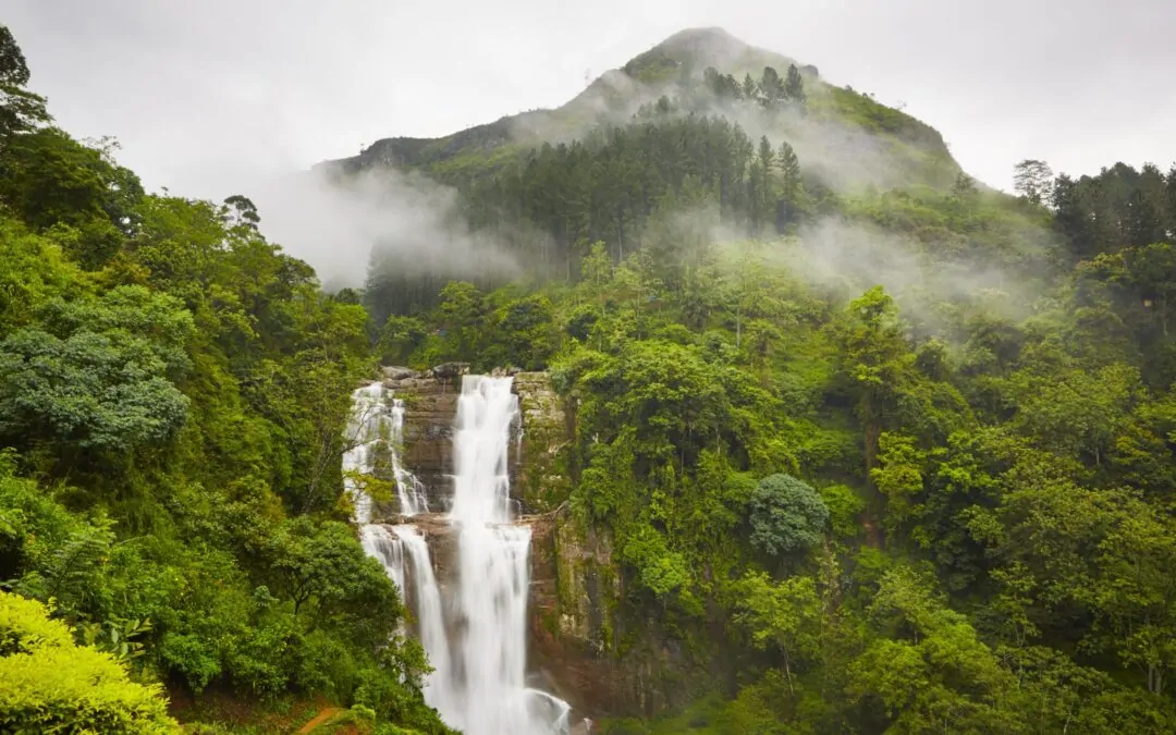 KANDY/NUWARA ELIYA