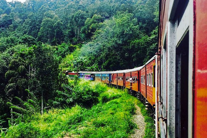 NUWARA ELIYA / YALA
