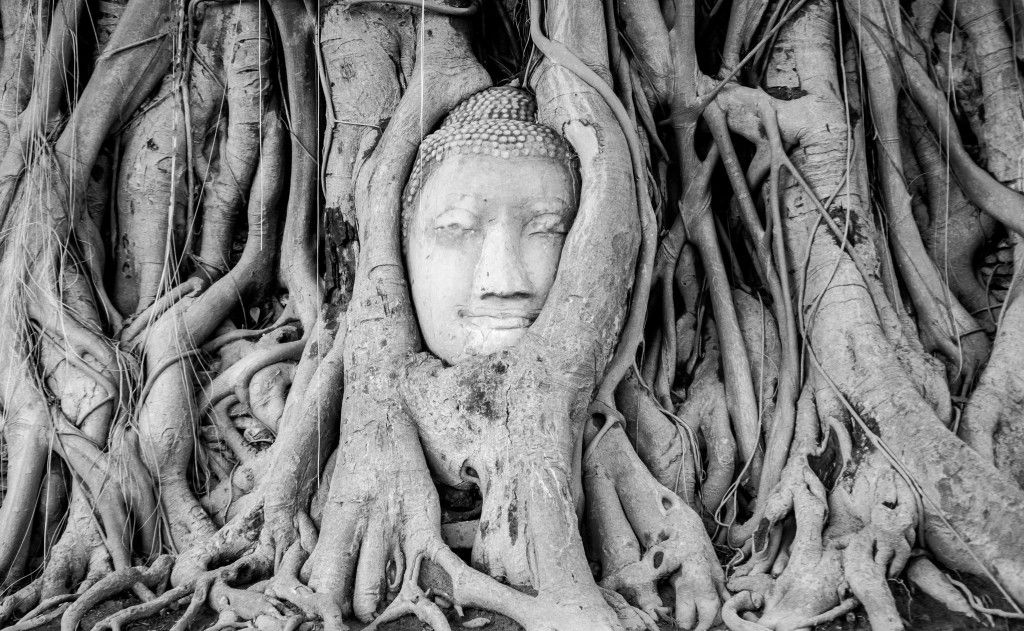 BANGKOK – AYUTTHAYA – ANG THONG – PHITSANULOK
