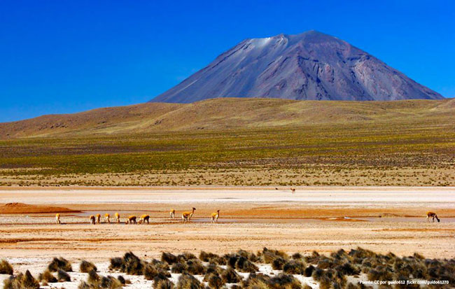 AREQUIPA - VALLE Y EL CAÑÓN DE COLCA (180 km - 3.5 h)