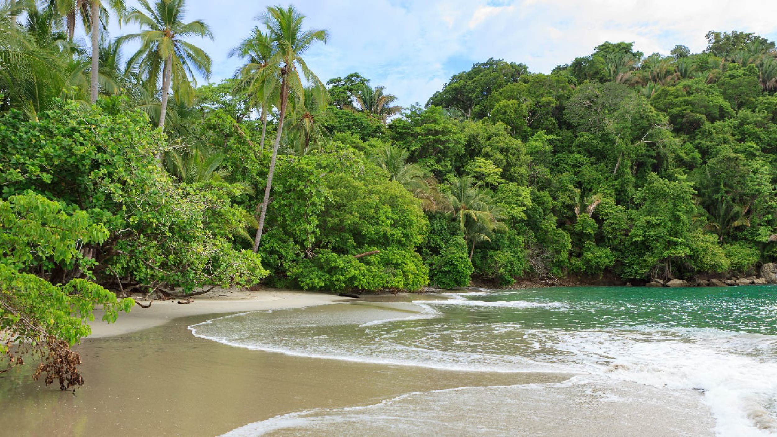 Día 5 : MANUEL ANTONIO