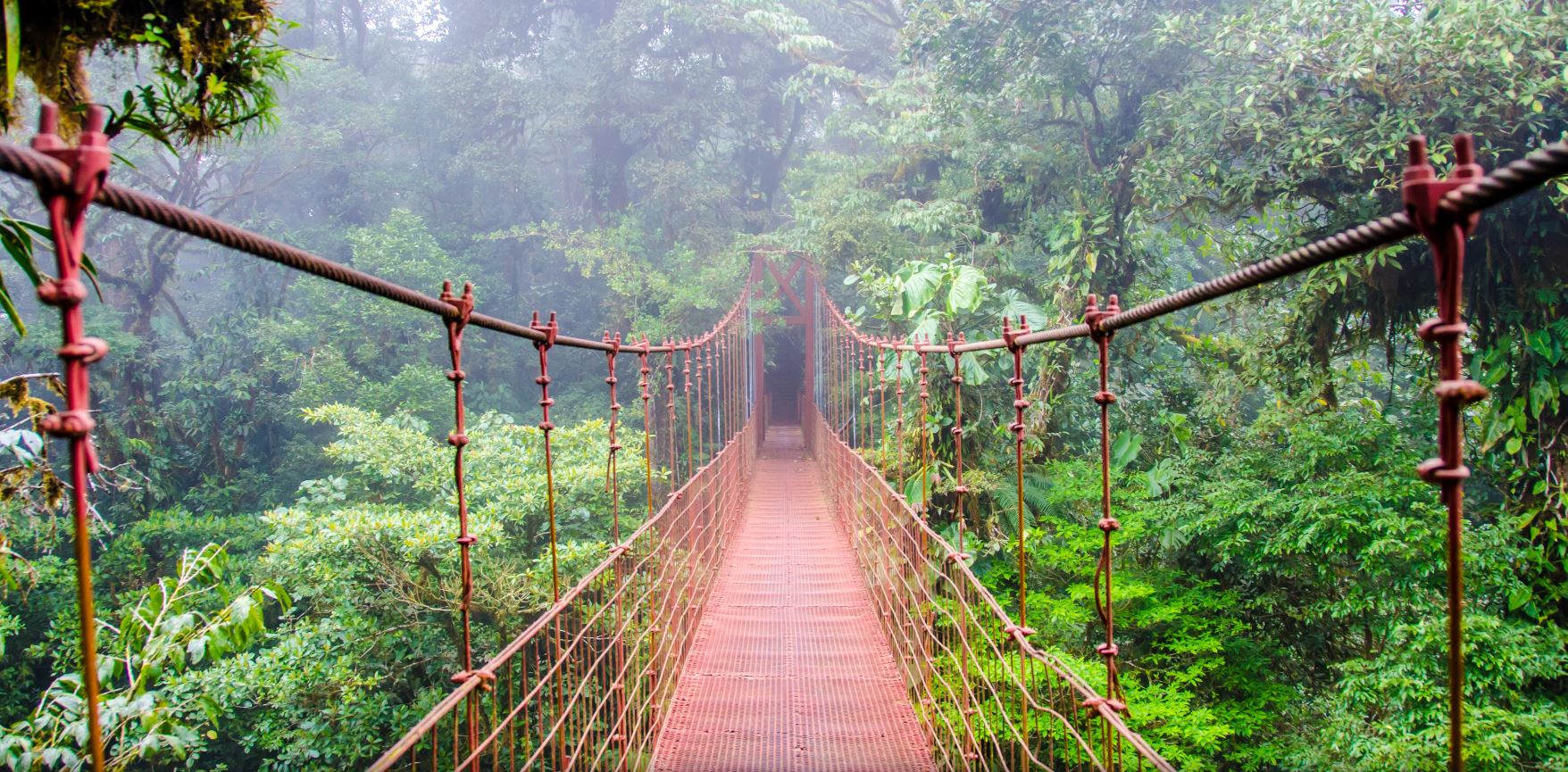 MONTEVERDE