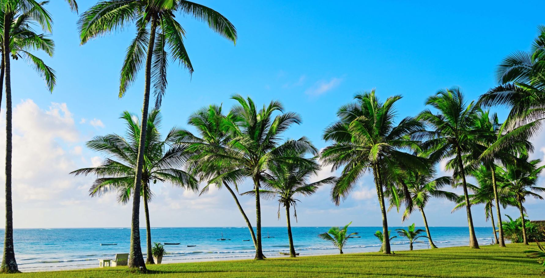 Diani