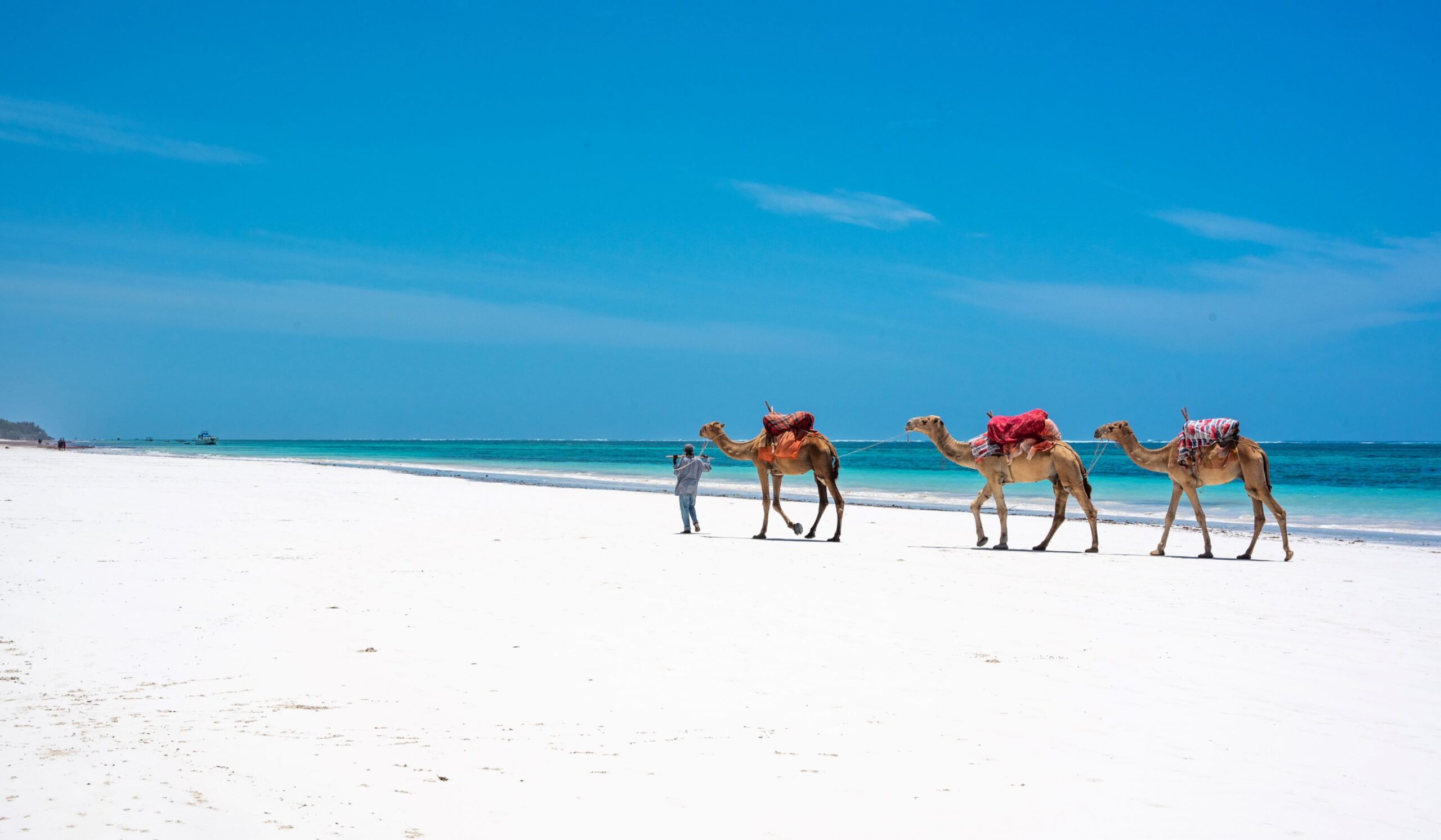 Diani - Lugar de origen