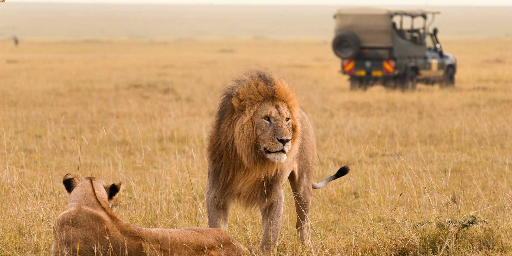 Maasai Mara