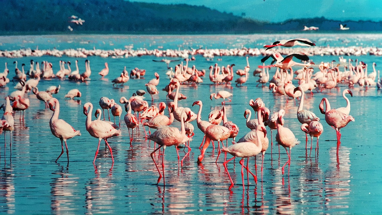 Viaje a Kenia en 9 días con safaris