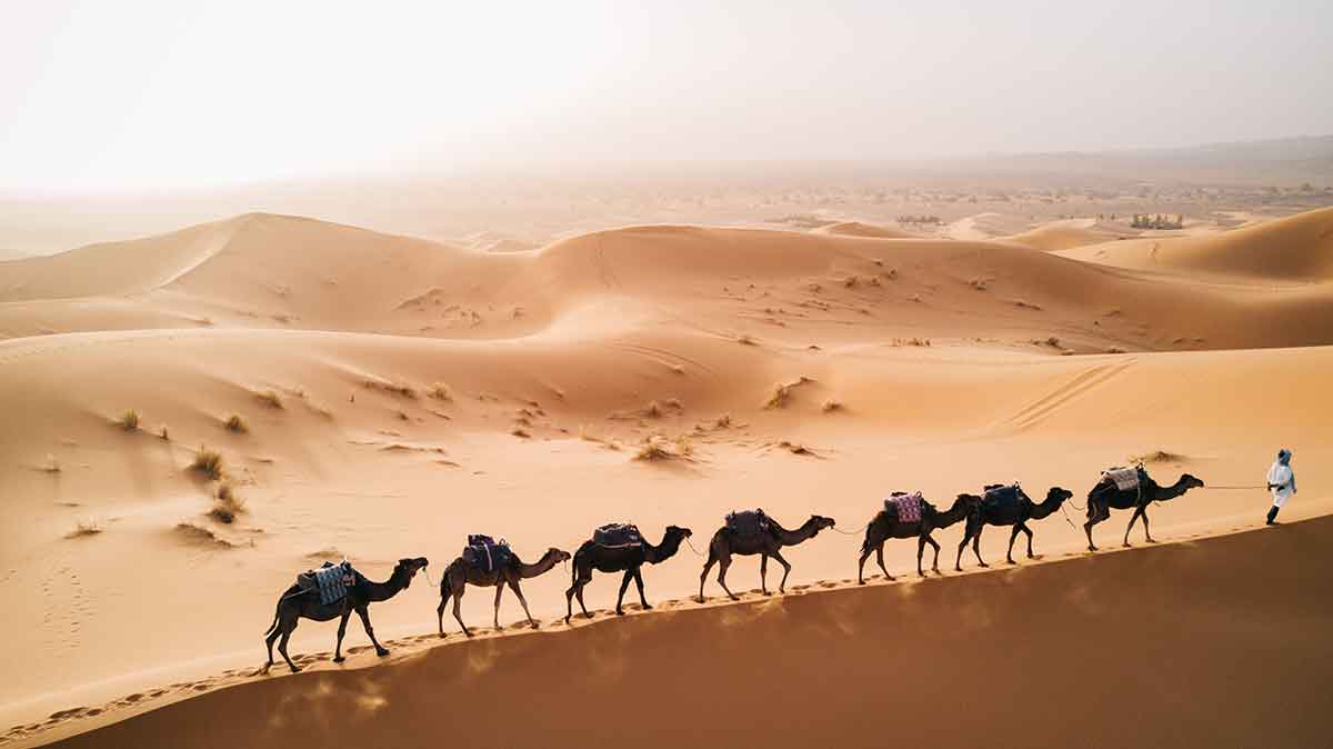 MERZOUGA - KHAMLIA - VISITA A LOS NÓMADAS - MERZOUGA (2 abril)