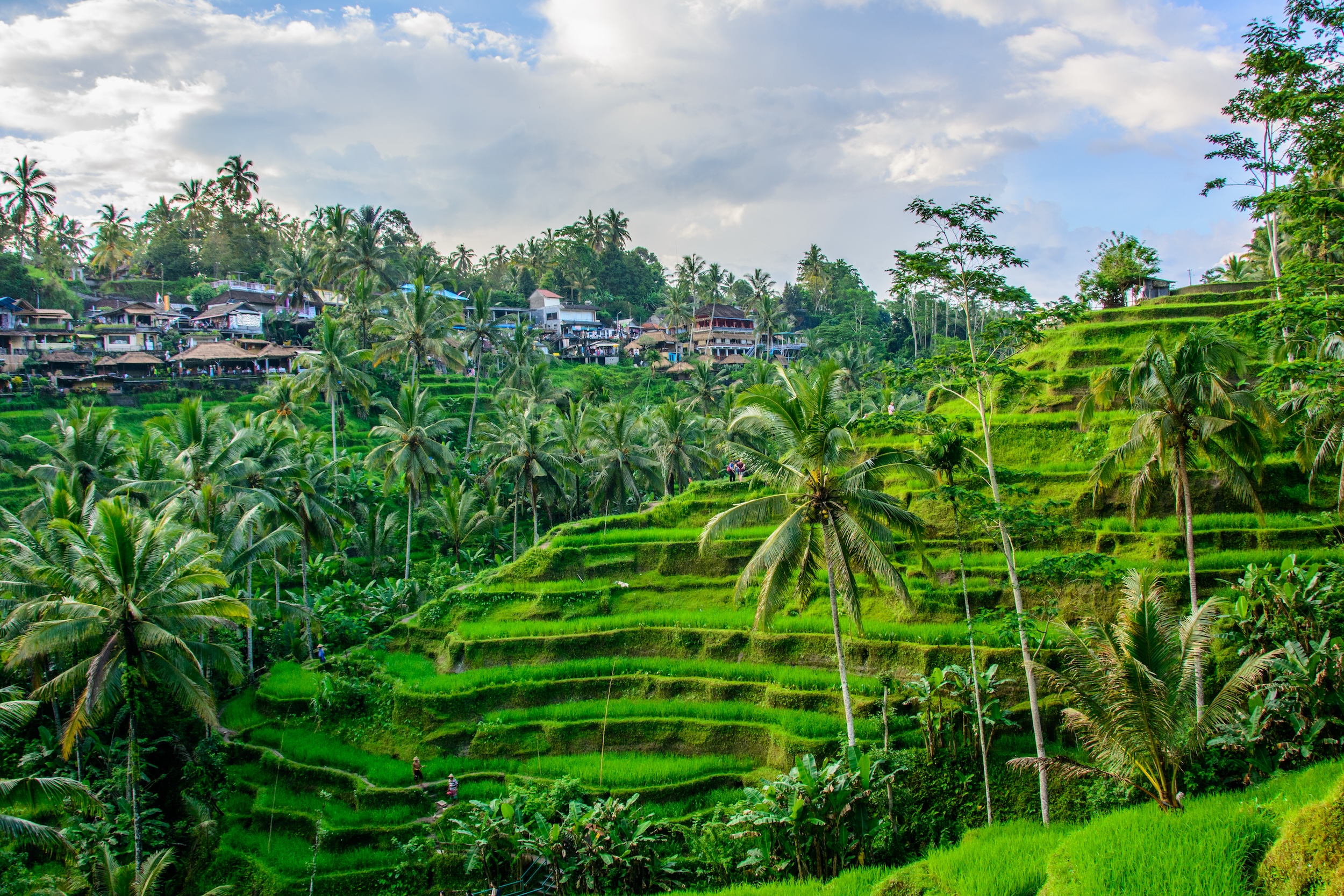 7D6N BALI (UBUD - NUSA DUA)