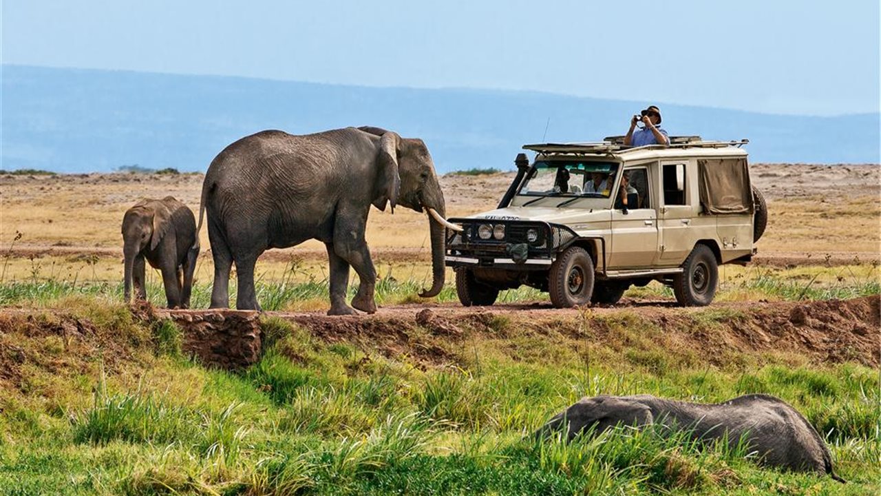 MARA - LAGO NAIVASHA
