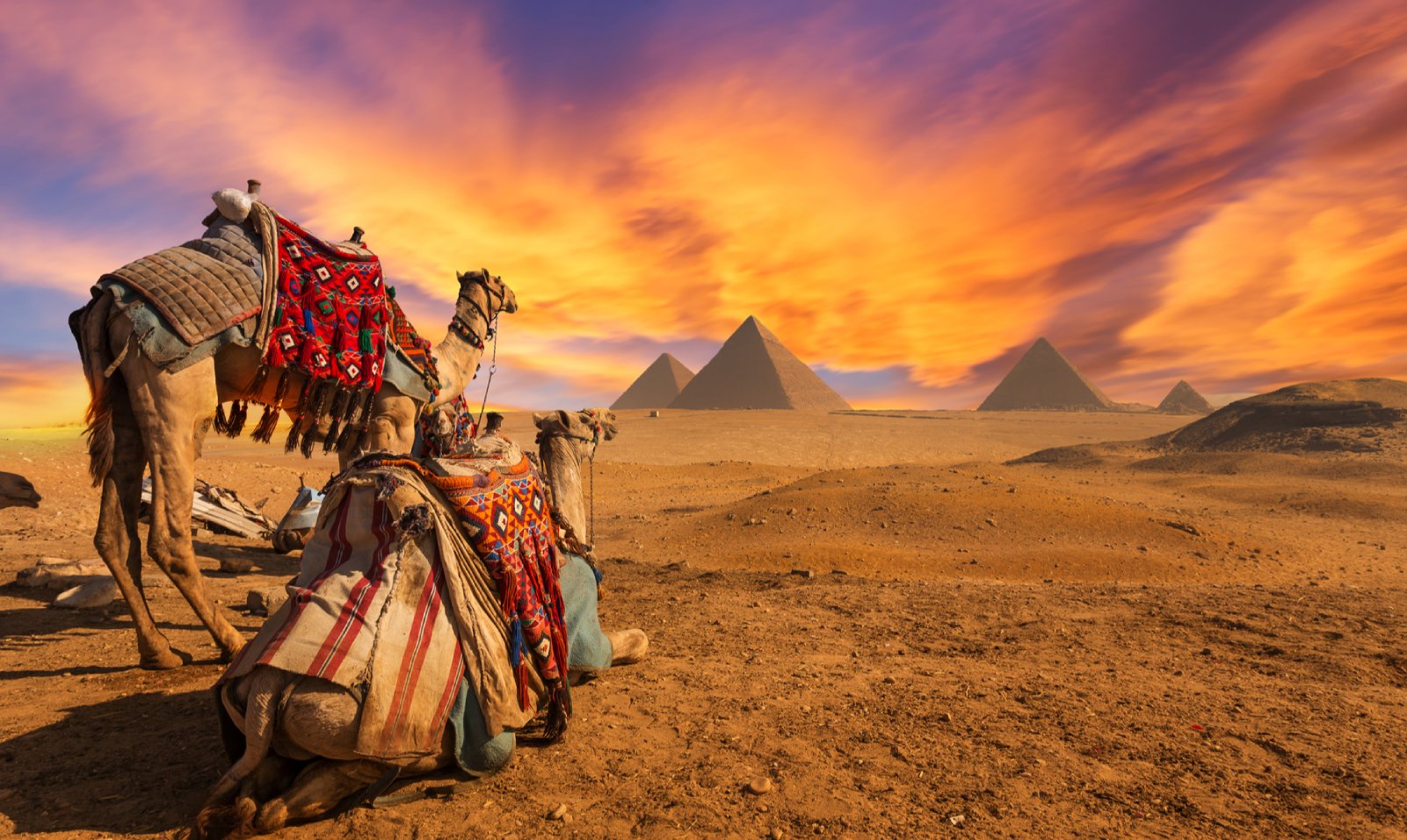 El Cairo y Crucero 4 noches con Abu Simbel