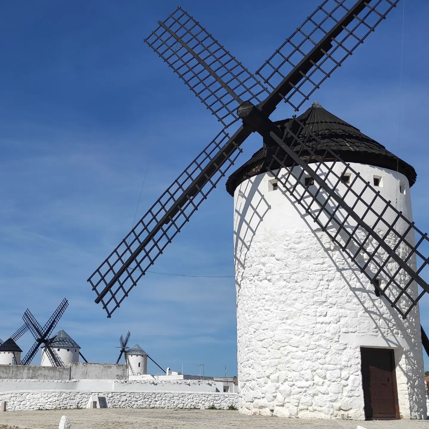Vendimia en La Mancha 2025