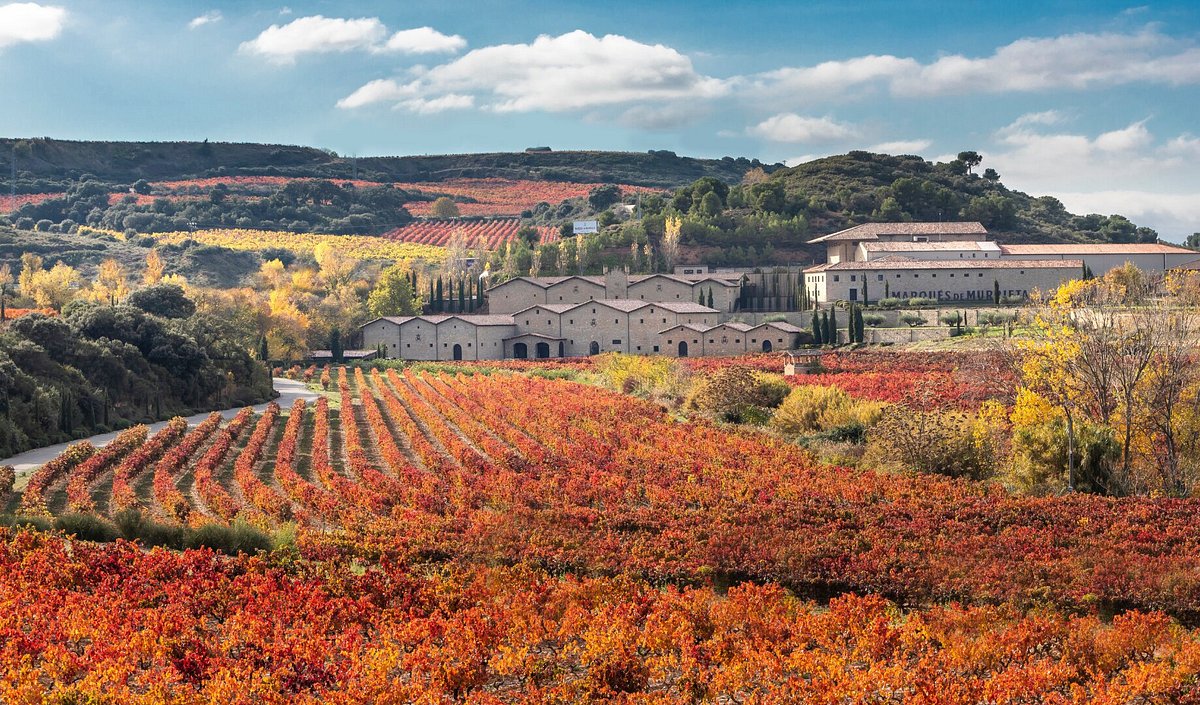 Vendimia PREMIUM Ribera del Duero y La Rioja 2026