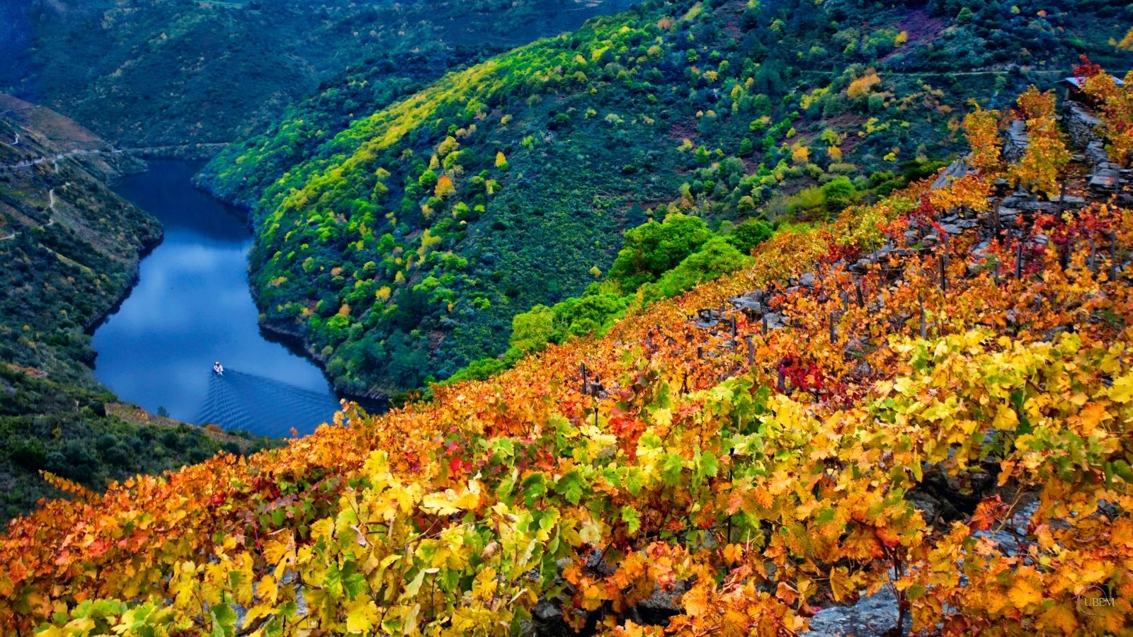 Ourense y Ribeira Sacra