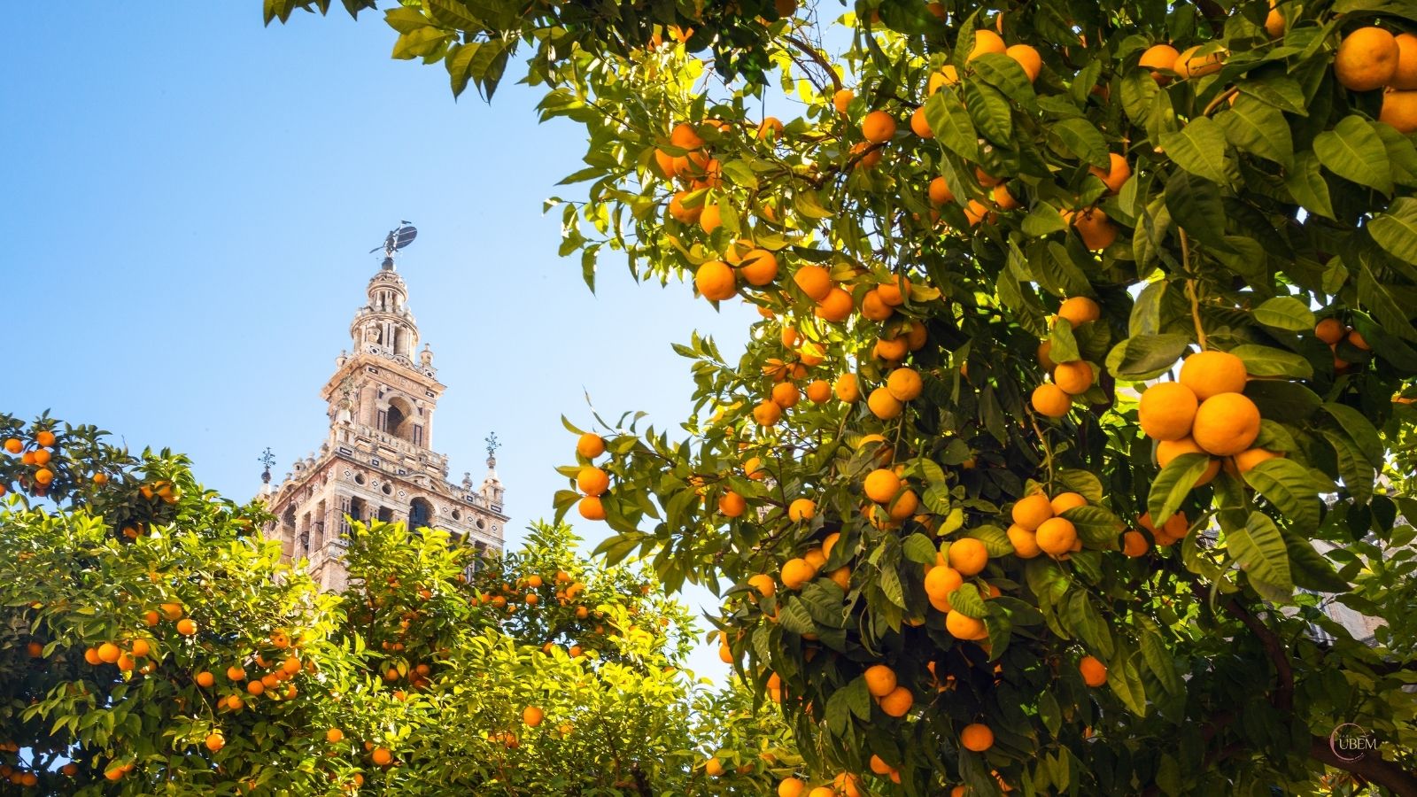 Sevilla