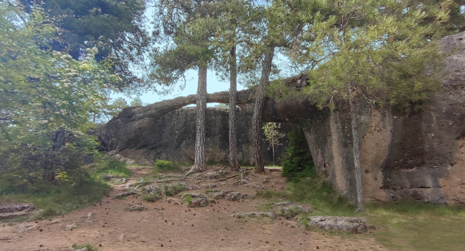 Día 4. Ciudad Encantada - Villa Romana de Noheda