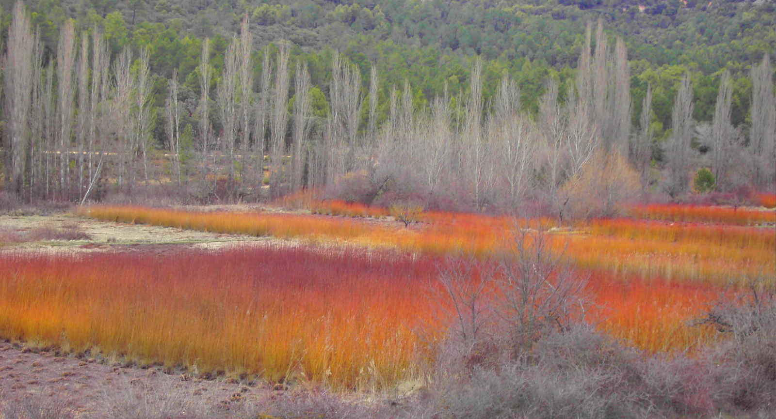 La Serranía de Cuenca. Naturaleza Pura.