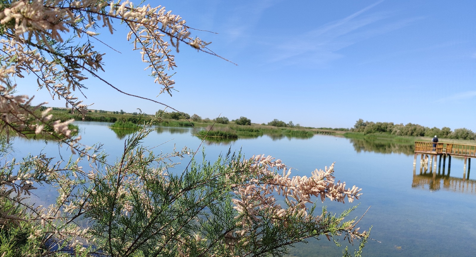 Jour 5. Tablas de Daimiel - Tomelloso - Lacunes de Ruidera