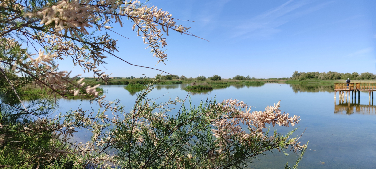 Day 5. Ecology and architecture of La Mancha