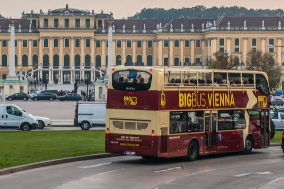 Bus turístico Viena (acceso 1 día)