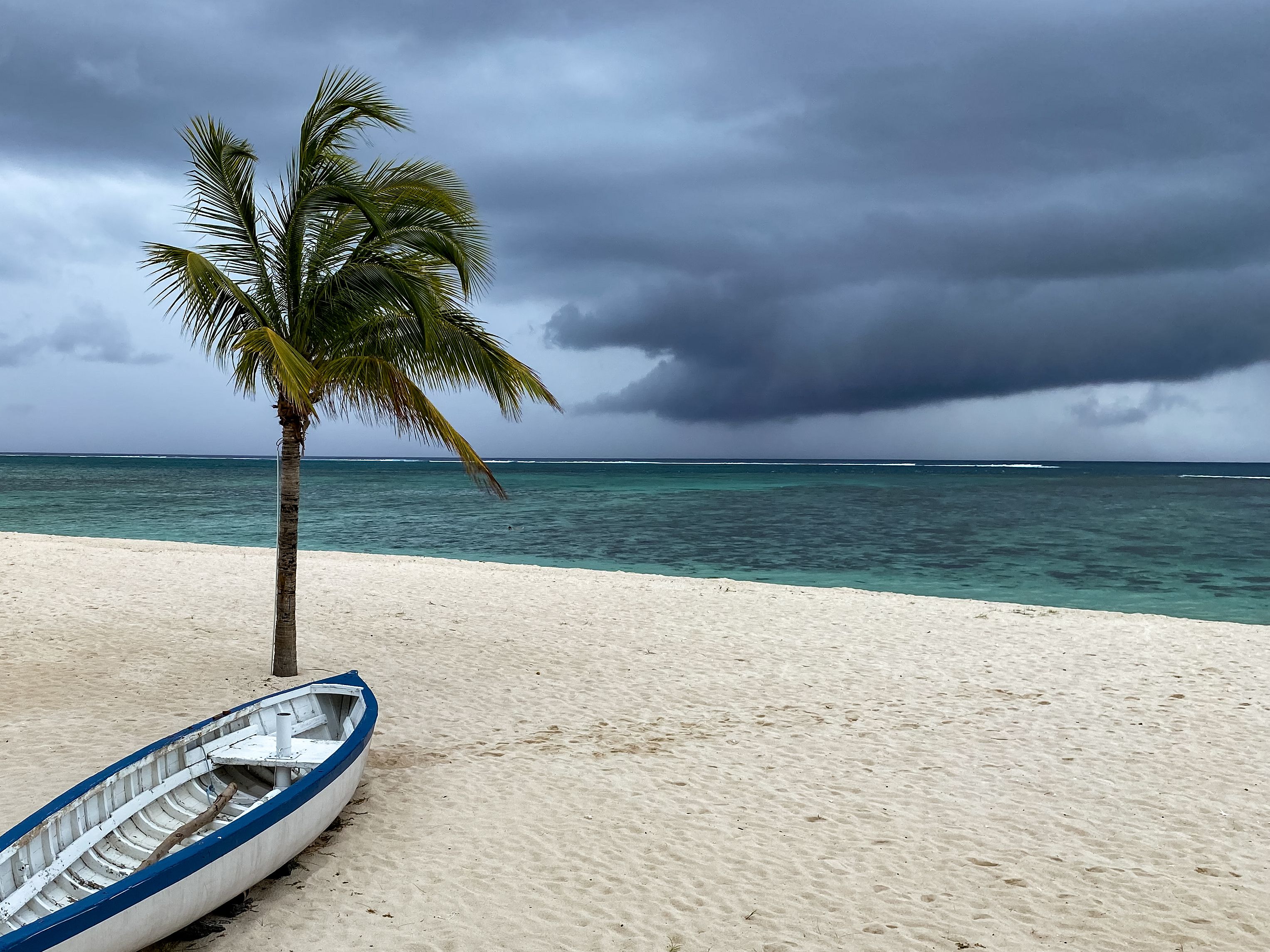 MAURICIO