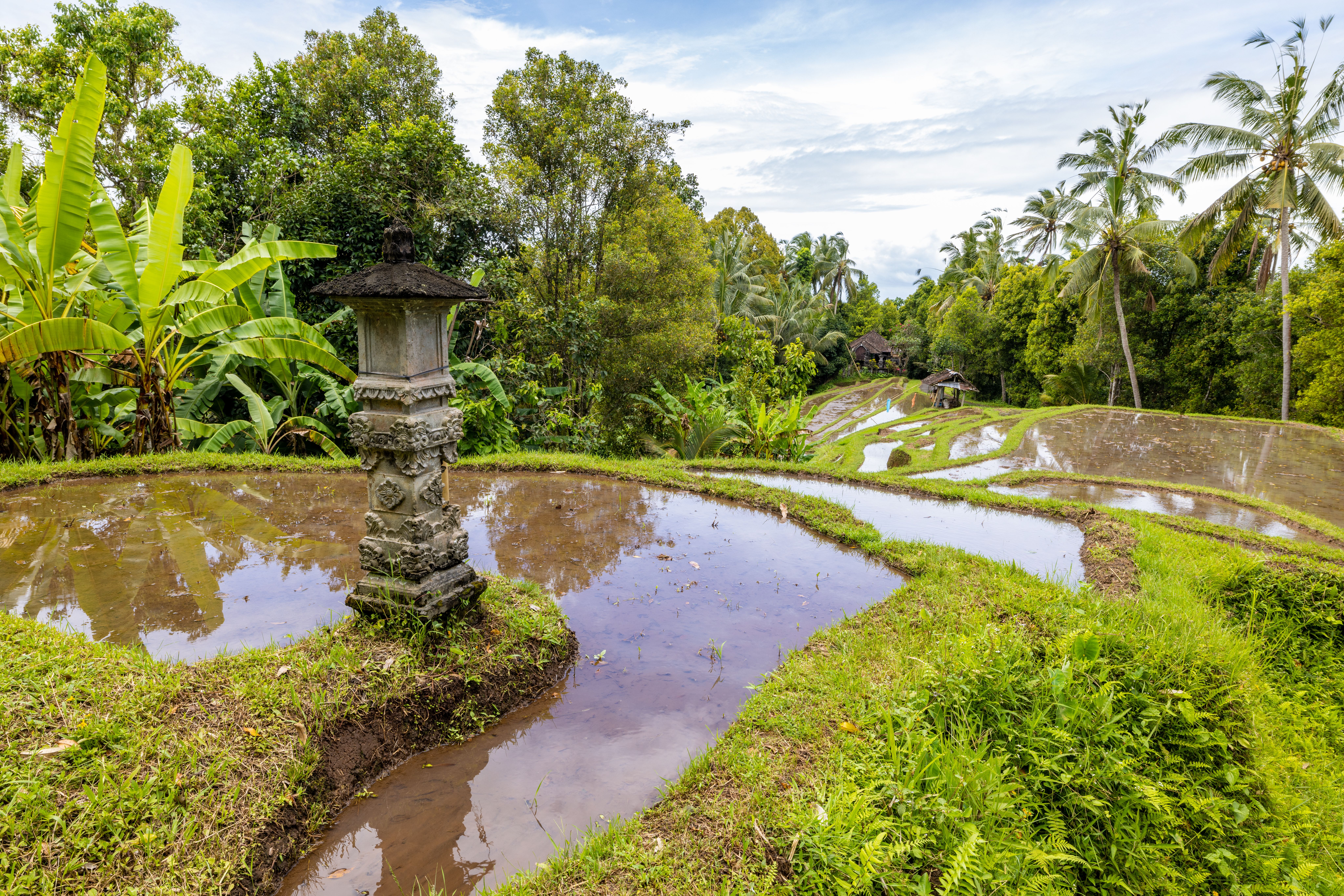 DESCUBRIENDO BALI