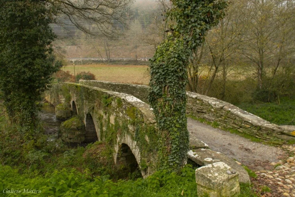 Camino Francés:Últimos 100km de Sarria a Santiago - Con Encanto