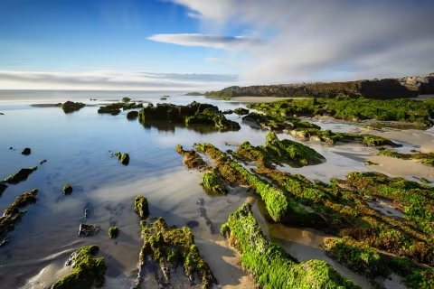 Galicia Rías Altas y Costa da Morte