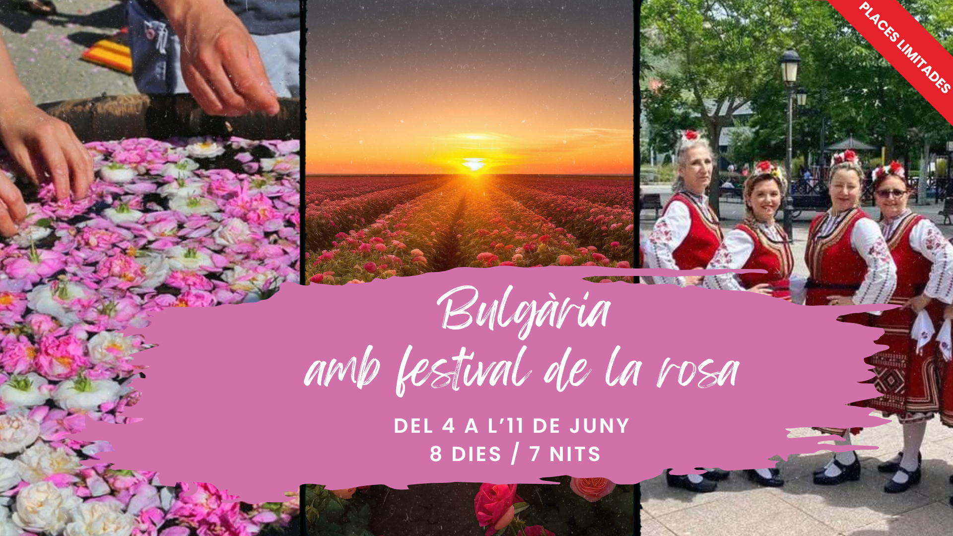 Bulgaria con festival de la rosa