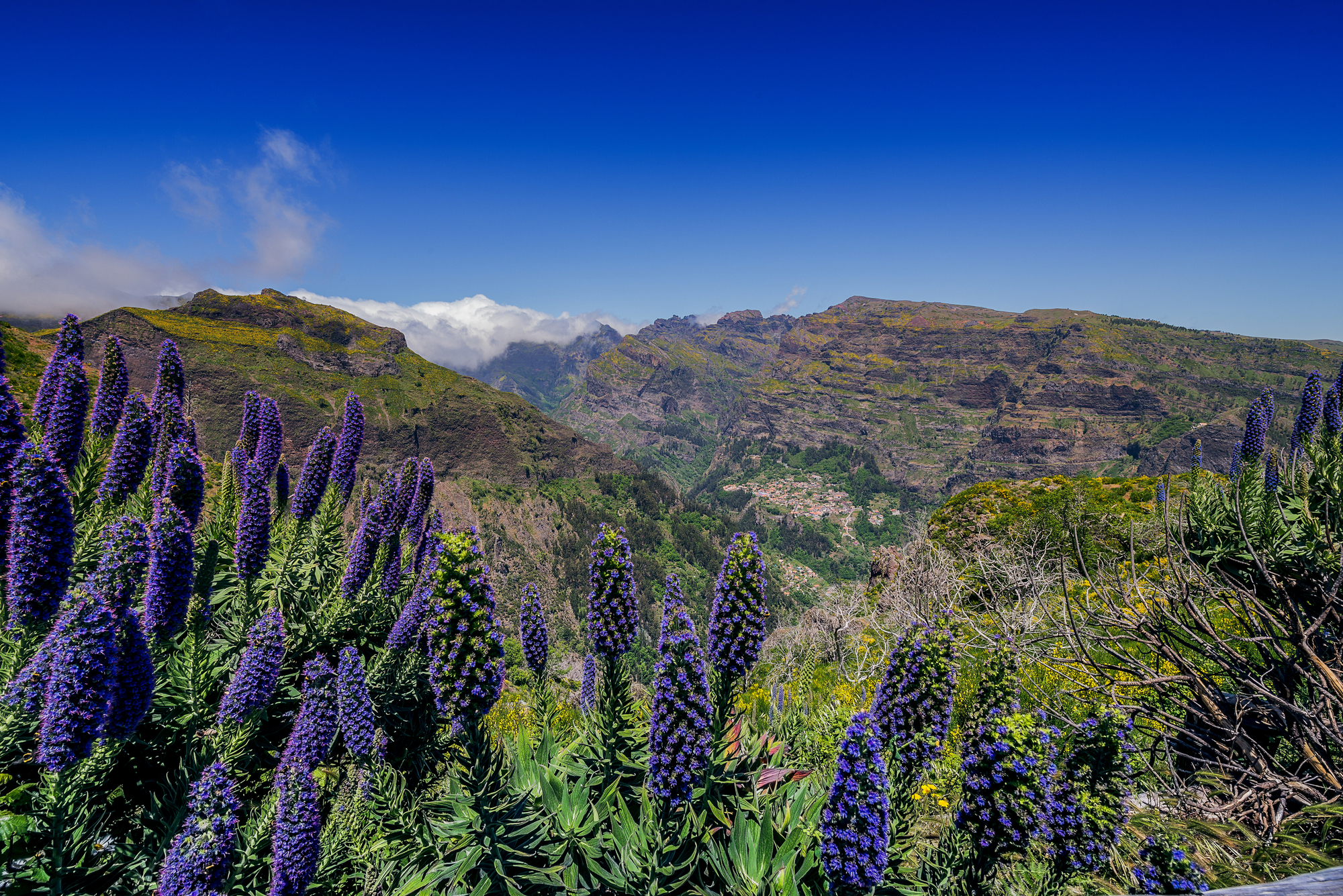 MADEIRA: la isla más elegante del Atlántico -alojamiento en Quinta histórica 5* luxury-