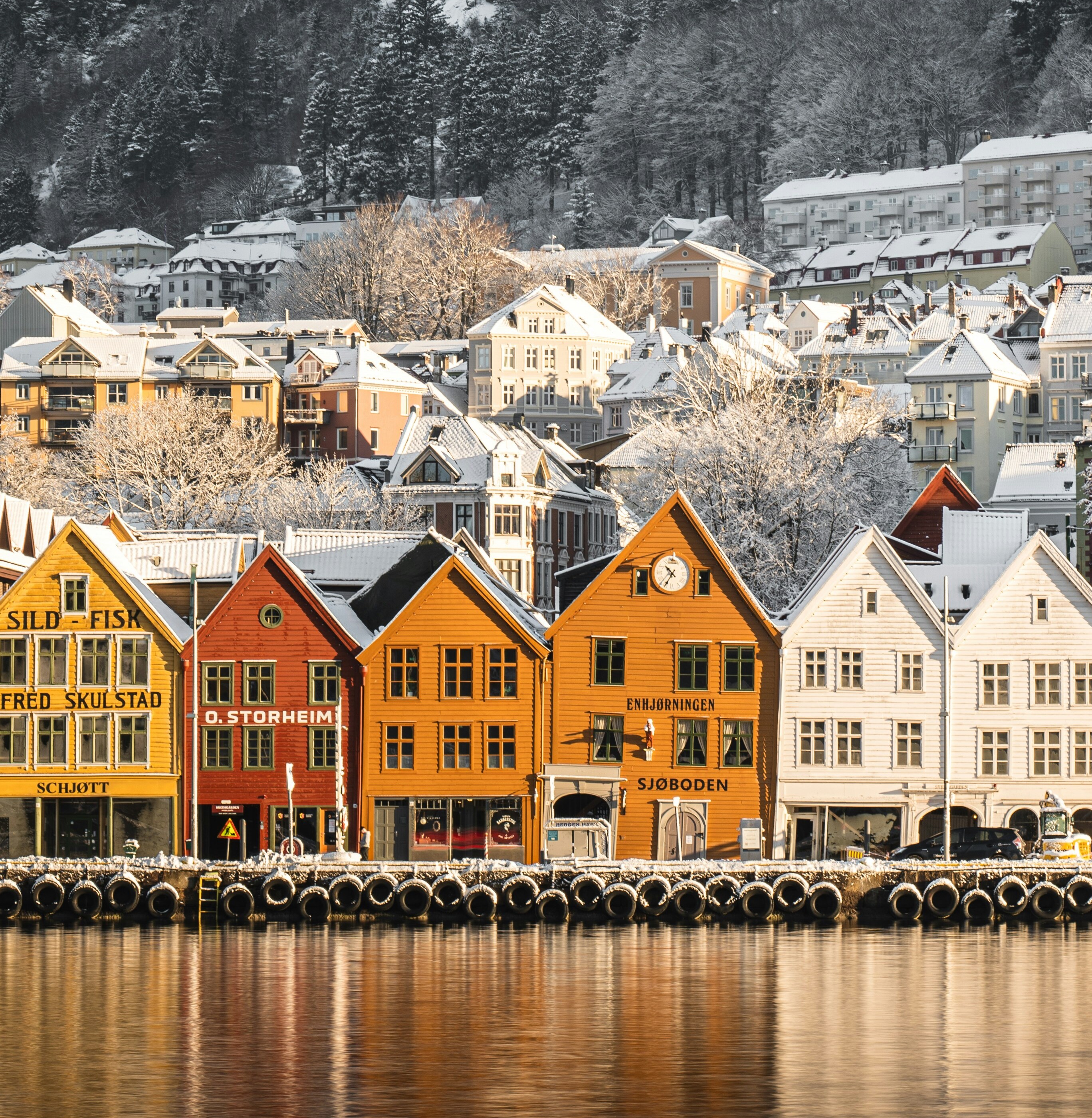 Rumbo al norte: la auténtica travesía por la costa de NORUEGA, entre fiordos y paisajes árticos