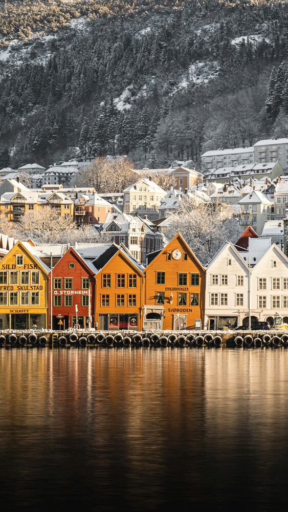 Explora NORUEGA: La Ruta de los Fiordos entre Oslo y Bergen