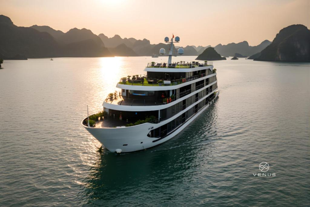 Venus Cruise (o similar)