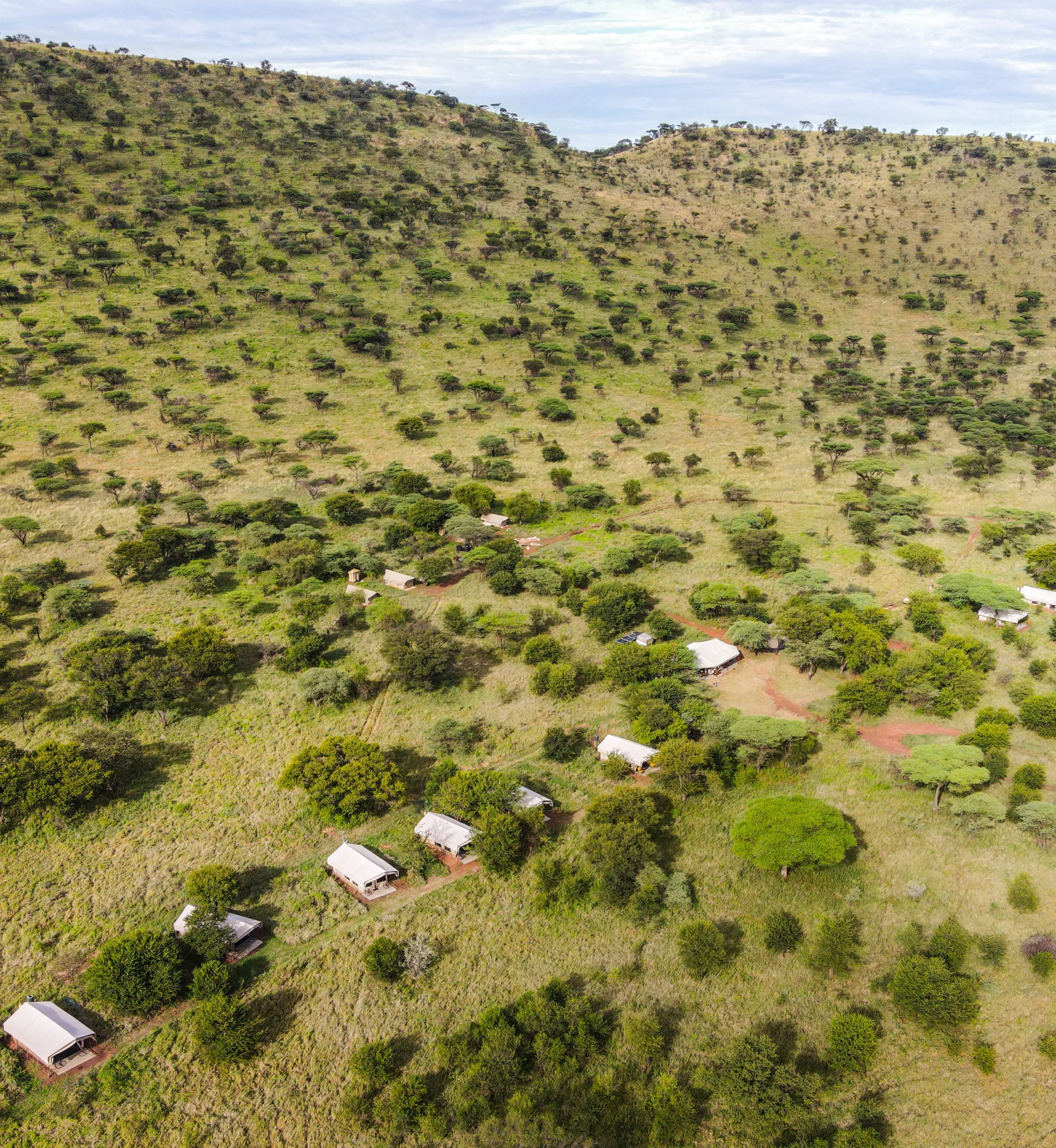 Osupuko Serengeti Camp (o similar)