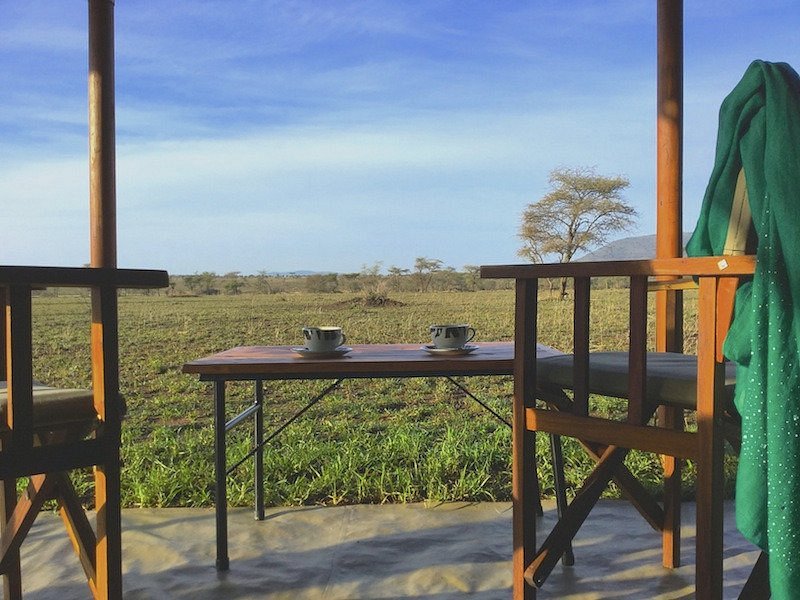 Thorn Tree Tented Camp (o similar)