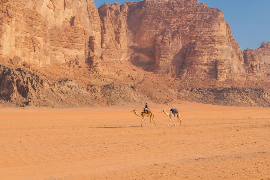 DÍA 5. PETRA / PEQUENA PETRA / WADI RUM