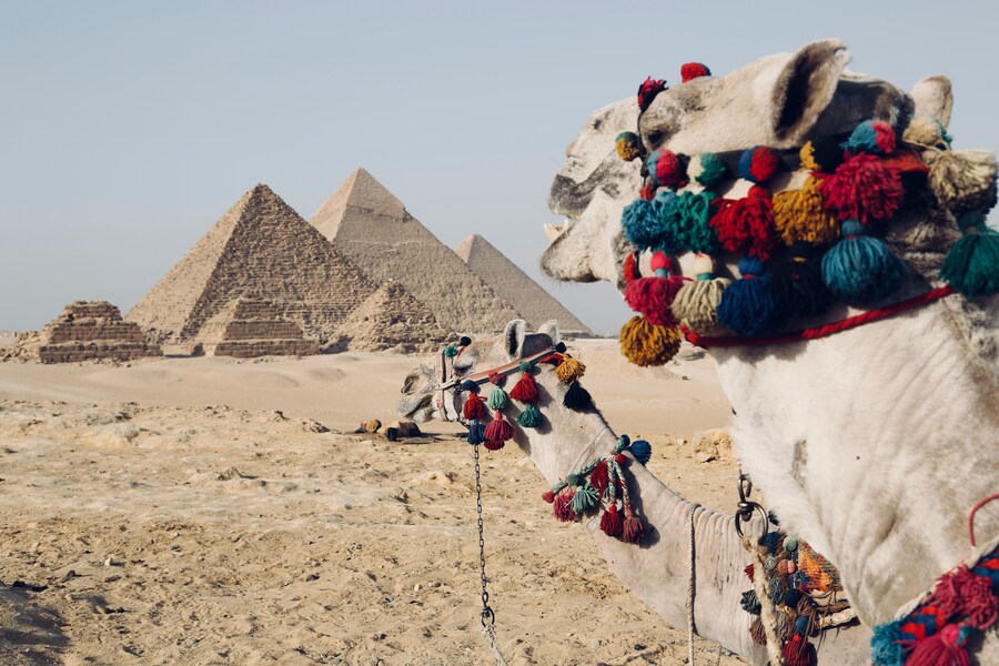 6 - EL CAIRO