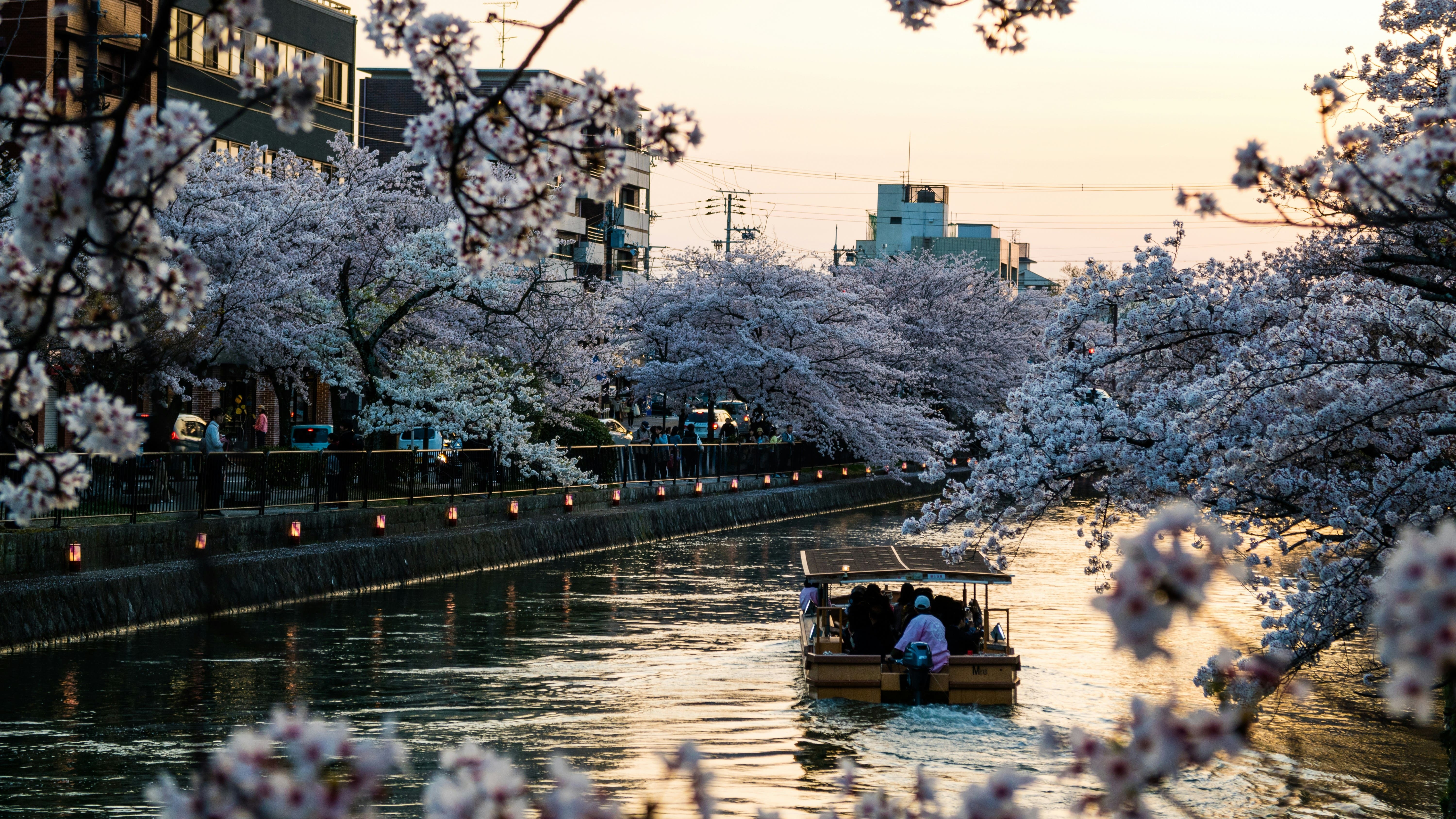 Día 5 — Tokio → Kioto (tren bala) + Nara: el Japón eterno