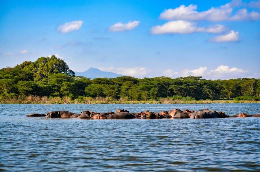 Kenia, Lagos y Sabanas