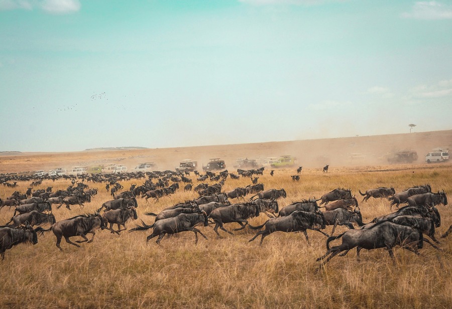 Kenia, Lagos y Sabanas